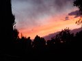 DSC00115