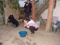 DSC00141