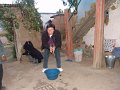 DSC00142