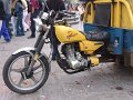 DSC09784
