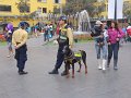 DSC09796