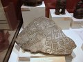 DSC09801