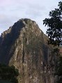 DSC00517