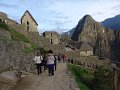 DSC00521
