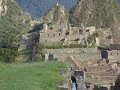 DSC00524