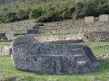 DSC00549