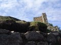 DSC00569