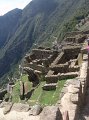 DSC00626