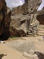 DSC00648