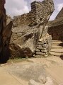 DSC00649