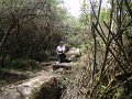 DSC00663