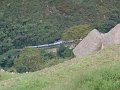 DSC00694