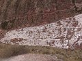 DSC00449