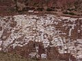 DSC00451