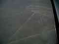 DSC08691
