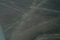 DSC08701