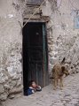 DSC00492
