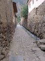 DSC00495