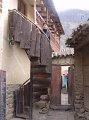 DSC00503