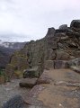 DSC00708