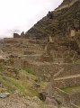 DSC00709