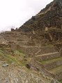 DSC00710