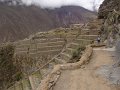 DSC00723