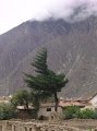 DSC00725
