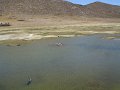 DSC09096