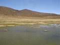 DSC09098