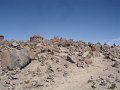 DSC08991