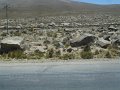 DSC08944