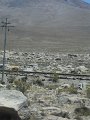 DSC08946