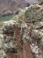 DSC00758