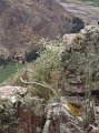 DSC00759