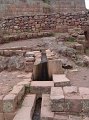 DSC00780