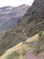 DSC00788