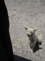 DSC08750