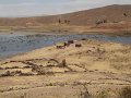 DSC09105