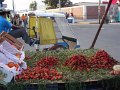 Arequipa