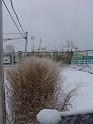 DSC08951