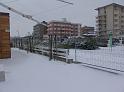 DSC08959