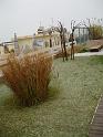 DSC07918