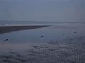 DSC08136