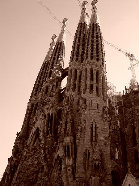 DSC09736.JPG