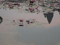 DSC03148
