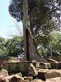 DSC03250