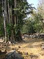 DSC03339