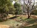 DSC03351