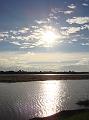DSC01401